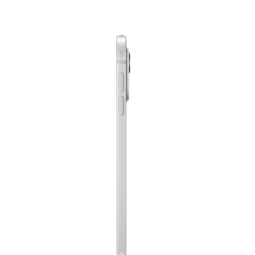 iPad Pro 11" w/Standard Glass 2024